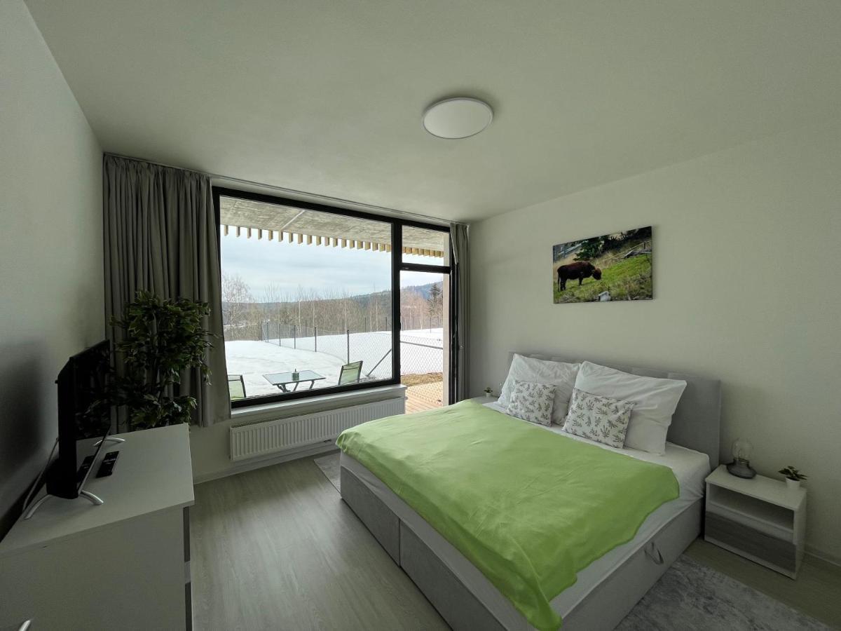 Apartment Darsinka Stachy