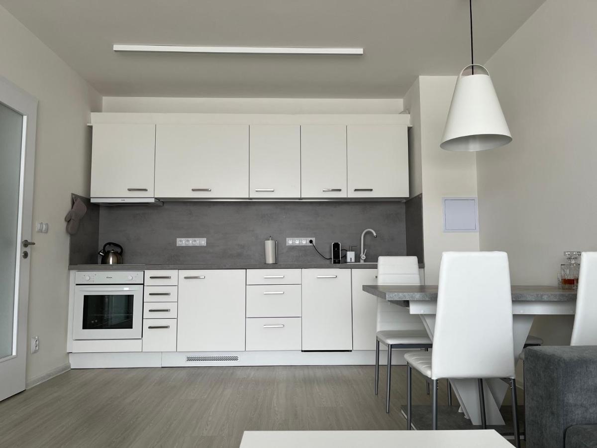 Apartment Darsinka Stachy